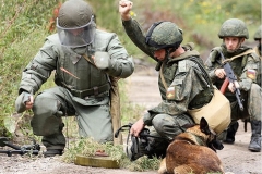 <strong>В Приморье военнослужащие со служебными собаками учились искать мины. Фото - пресс-служба Восточного военного округа</strong>