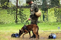<strong>В Приморье военнослужащие со служебными собаками учились искать мины. Фото - пресс-служба Восточного военного округа</strong>