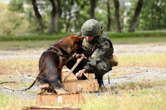 <strong>В Приморье военнослужащие со служебными собаками учились искать мины. Фото - пресс-служба Восточного военного округа</strong>