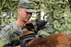 <strong>В Приморье военнослужащие со служебными собаками учились искать мины. Фото - пресс-служба Восточного военного округа</strong>