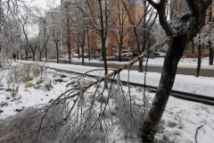 <strong>В ночь на 19 ноября погода во Владивостоке резко ухудшилась, уже утром жители города столкнулись с гололёдом, мокрым снегом и рухнувшими обледенелыми деревьями, перегородившими тротуары и проезжую часть</strong>