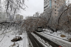 <strong>В ночь на 19 ноября погода во Владивостоке резко ухудшилась, уже утром жители города столкнулись с гололёдом, мокрым снегом и рухнувшими обледенелыми деревьями, перегородившими тротуары и проезжую часть</strong>
