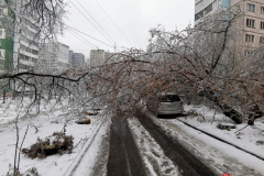 <strong>В ночь на 19 ноября погода во Владивостоке резко ухудшилась, уже утром жители города столкнулись с гололёдом, мокрым снегом и рухнувшими обледенелыми деревьями, перегородившими тротуары и проезжую часть</strong>