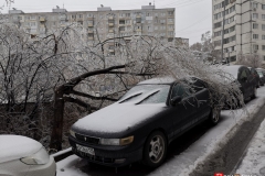 <strong>В ночь на 19 ноября погода во Владивостоке резко ухудшилась, уже утром жители города столкнулись с гололёдом, мокрым снегом и рухнувшими обледенелыми деревьями, перегородившими тротуары и проезжую часть</strong>