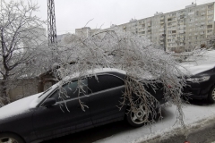 <strong>В ночь на 19 ноября погода во Владивостоке резко ухудшилась, уже утром жители города столкнулись с гололёдом, мокрым снегом и рухнувшими обледенелыми деревьями, перегородившими тротуары и проезжую часть</strong>