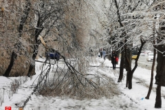<strong>В ночь на 19 ноября погода во Владивостоке резко ухудшилась, уже утром жители города столкнулись с гололёдом, мокрым снегом и рухнувшими обледенелыми деревьями, перегородившими тротуары и проезжую часть</strong>