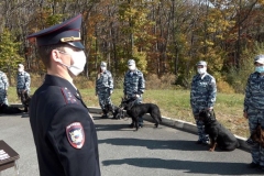 <strong>В дальневосточной столице прошло торжественное мероприятие, приуроченное к дню образования Центра кинологической службы городской полиции</strong>