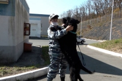 <strong>В дальневосточной столице прошло торжественное мероприятие, приуроченное к дню образования Центра кинологической службы городской полиции</strong>