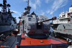 <strong>В краевом центре Приморья стартовал Международный военно-технический форум «Армия-2017»</strong>