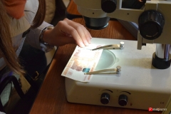 <strong>На специальном оборудовании можно было проверить подлинность ранее выпущенных банкнот и получить консультацию специалиста</strong>