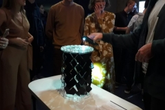 Тимофей Горбатенко, Иван Кумец, Анастасия Лукута, Юлия Суфьянова. Vivid