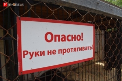 <strong>Подходить близко к клетке - опасно</strong>