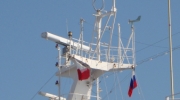 DSC06496