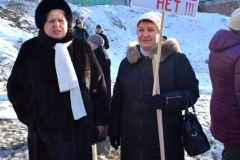 <strong>Горожане требовали прекратить точечную застройку</strong>