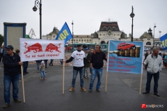 <strong>Очередной митинг противников обязательной установки оборудования системы ЭРА-ГЛОНАСС прошел во Владивостоке</strong>