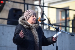 <strong>Жители Владивостока на митинге потребовали прекратить вырубать городские леса</strong>