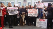 Неравнодушные жители и гости города привели с собой четвероногих питомцев