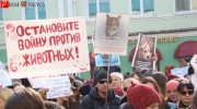Собравшихся на пикете было больше, чем ожидалось