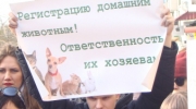 Участники пикета были уверены, что наказание за издевательство над животными необходимо ужесточить до реального тюремного срока