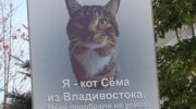 Многие участники пикета принесли с собой плакаты и транспаранты с изображениями животных