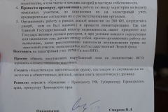 <strong>Участники митинга во Владивостоке потребовали приостановить внедрение нового генплана города</strong>