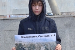 <strong>Участники митинга во Владивостоке потребовали приостановить внедрение нового генплана города</strong>