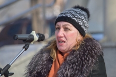 <strong>Участники митинга во Владивостоке потребовали приостановить внедрение нового генплана города</strong>