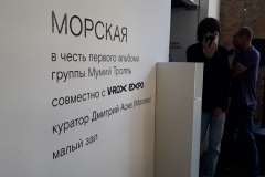 Во Владивостоке в рамках фестиваля V-ROX EXPO открылась выставка "Морская"