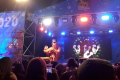 Новогодние гулянья прошли во Владивостоке 31 декабря