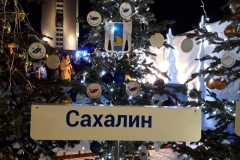 Новогодние гулянья прошли во Владивостоке 31 декабря