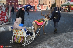 <strong>На новогодних гуляниях олени пользовались спросом</strong>
