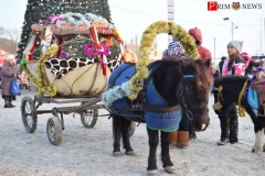 <strong>Каждый желающий мог прокатиться в новогодней повозке</strong>