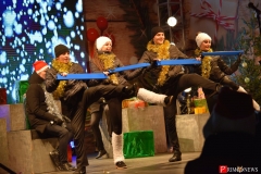 <strong>Выступали разные артисты с вокальными и танцевальными номерами</strong>