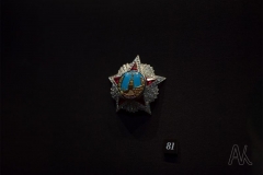 В Приморском музее имени В.К. Арсеньева проходит выставка орденов и наград из коллекции Музеев Московского Кремля
