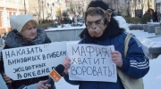 Участники пикета принесли с собой транспаранты с изображением дельфинов и импровизированные листовки