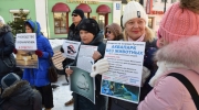 Пикетчики требовали открыть на Русском аквапарк без животных