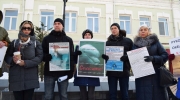 Участники пикета принесли с собой транспаранты с изображением дельфинов и импровизированные листовки
