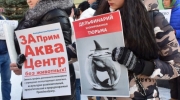 Некоторые пикетчики считают, что дельфинарий это хлорированная тюрьма