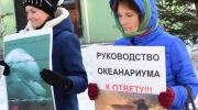 Пикетчики требовали привлечь руководство океанариума к ответу