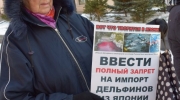 Участники требовали ввести запрет на импорт дельфинов из Японии в Россию
