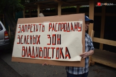 <strong>О своей позиции горожане рассказали не только журналистам, но и с помощью плакатов — автомобилистам и пассажирам автобусов, которые проезжали мимо дома по Светланской</strong>