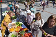 <strong>В краевом центре Приморья отпраздновали День садовода и огородника</strong>