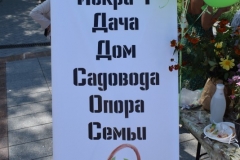<strong>В краевом центре Приморья отпраздновали День садовода и огородника</strong>