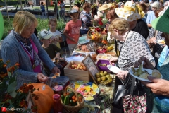 <strong>В краевом центре Приморья отпраздновали День садовода и огородника</strong>