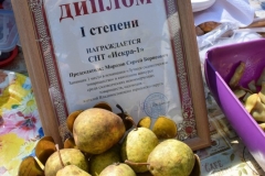 <strong>В краевом центре Приморья отпраздновали День садовода и огородника</strong>