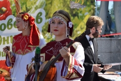 <strong>В краевом центре Приморья отпраздновали День садовода и огородника</strong>