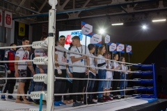 <strong>Фото: Илья Пирро</strong>