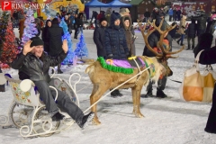<strong>Особой популярностью пользовались олени, с которыми активно фотографировались люди</strong>