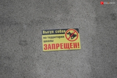 <strong>Между тем, территорию у школы используют и как место для выгула собак, хотя соответствующая запретная табличка и размещена на фасаде здания образовательного учреждения</strong>