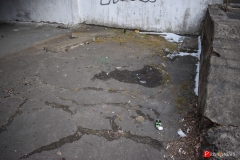 <strong>На пришкольной территории валяются бутылки и банки из под алкоголя</strong>